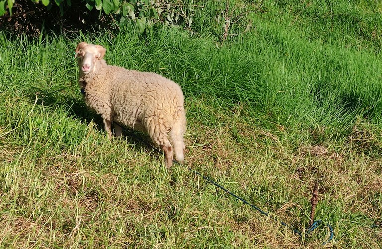 "Equipa de manutenção"
